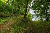  Santa Teresa Town &ndash; Heart Hillside - Photo 7