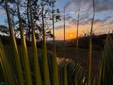 Nada Finca Naranjalito - Photo 19