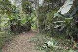  Coffee & Fruit Farm in San Luis De San Isidro - Photo 1