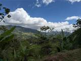  Coffee & Fruit Farm in San Luis De San Isidro - Photo 1