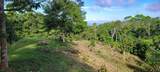  Finca Estrella - Photo 1