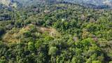  Finca Estrella - Photo 10