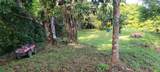  Finca Estrella - Photo 2