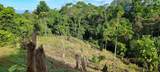  Finca Estrella - Photo 5
