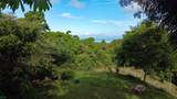  Finca Estrella - Photo 6