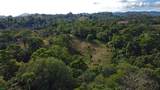  Finca Estrella - Photo 7