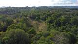  Finca Estrella - Photo 8