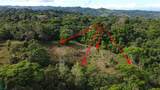  Finca Estrella - Photo 9