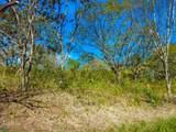  Tierra Pacifica #9 - Photo 6