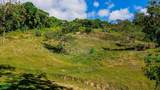  Luxury Waterfall Farm - Photo 17