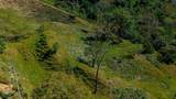  Luxury Waterfall Farm - Photo 19