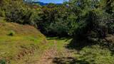  Luxury Waterfall Farm - Photo 34