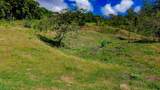  Luxury Waterfall Farm - Photo 35