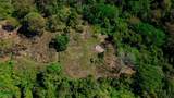  Luxury Waterfall Farm - Photo 37