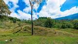  Luxury Waterfall Farm - Photo 57