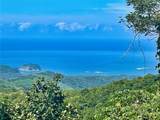  Ocean View Finca Playa Carrillo - Photo 1