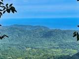  Ocean View Finca Playa Carrillo - Photo 4