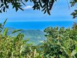  Ocean View Finca Playa Carrillo - Photo 5