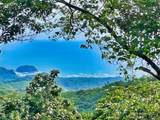  Ocean View Finca Playa Carrillo - Photo 6