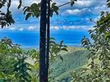  Ocean View Finca Playa Carrillo - Photo 7