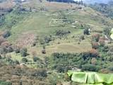  Ruta 224 Orosi-Paraiso - Photo 1