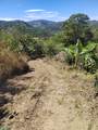  Ruta 224 Orosi-Paraiso - Photo 10