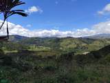  Ruta 224 Orosi-Paraiso - Photo 14