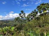  Ruta 224 Orosi-Paraiso - Photo 16