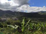 Ruta 224 Orosi-Paraiso - Photo 17