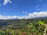  Ruta 224 Orosi-Paraiso - Photo 18