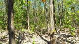 Paraiso Teak & Creek Playa Negra, - Photo 4