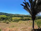  Dominical - Photo 11