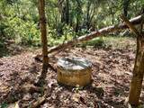  Dominical - Photo 7