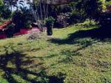 Calle Bosque Encantado - Photo 3
