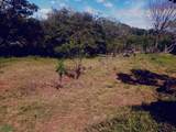  Calle Bosque Encantado - Photo 4