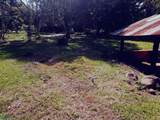  Calle Bosque Encantado - Photo 5