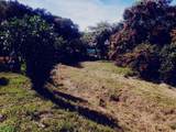  Calle Bosque Encantado - Photo 6