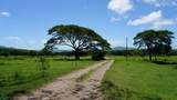  Rancho Cartagena Lot 45C - Photo 3
