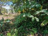  Atenas, Alajuela - Photo 12
