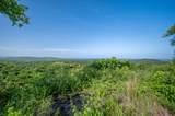  Almendro Hills - Photo 11