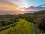  Luxury Hilltop Estate - Photo 6