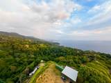  Luxury Hilltop Estate - Photo 8