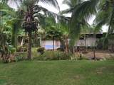  Puerto Jimenez - Photo 2