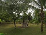  Puerto Jimenez - Photo 5