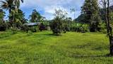  Waterfall Estate, Dos Bocas, Springs, Dominical - Photo 10