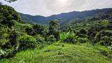 Waterfall Estate, Dos Bocas, Springs, Dominical - Photo 11