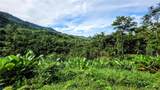  Waterfall Estate, Dos Bocas, Springs, Dominical - Photo 12