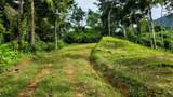  Waterfall Estate, Dos Bocas, Springs, Dominical - Photo 14