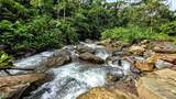  Waterfall Estate, Dos Bocas, Springs, Dominical - Photo 15