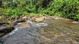  Waterfall Estate, Dos Bocas, Springs, Dominical - Photo 16